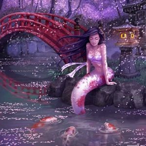 Meet your Posher, Butterflyamanda